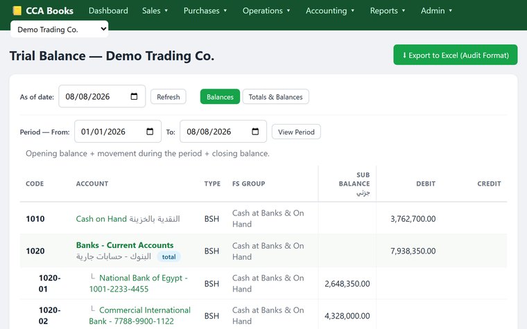 The trial balance
